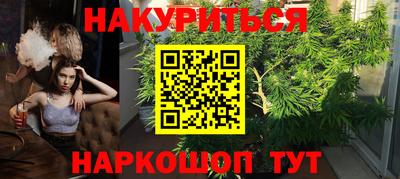мдпв Пугачёв